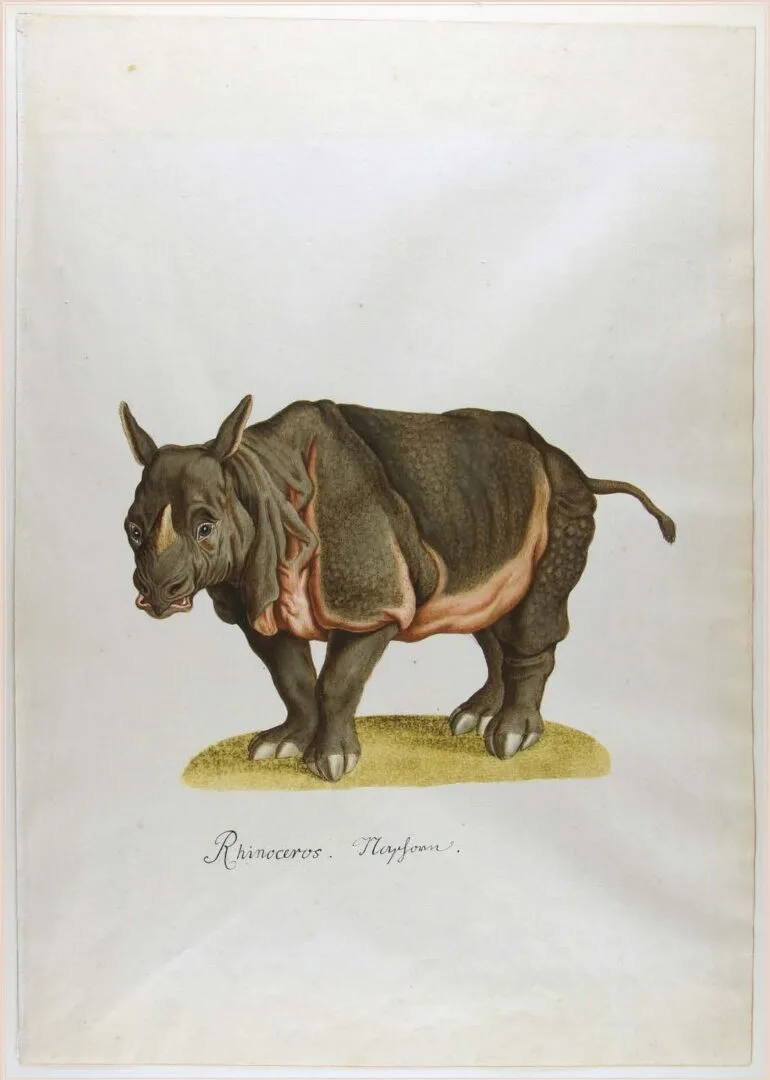 1748 Scheidel after Ridinger