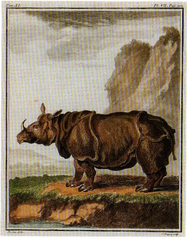 Buffon 1764 engraved Baquoy