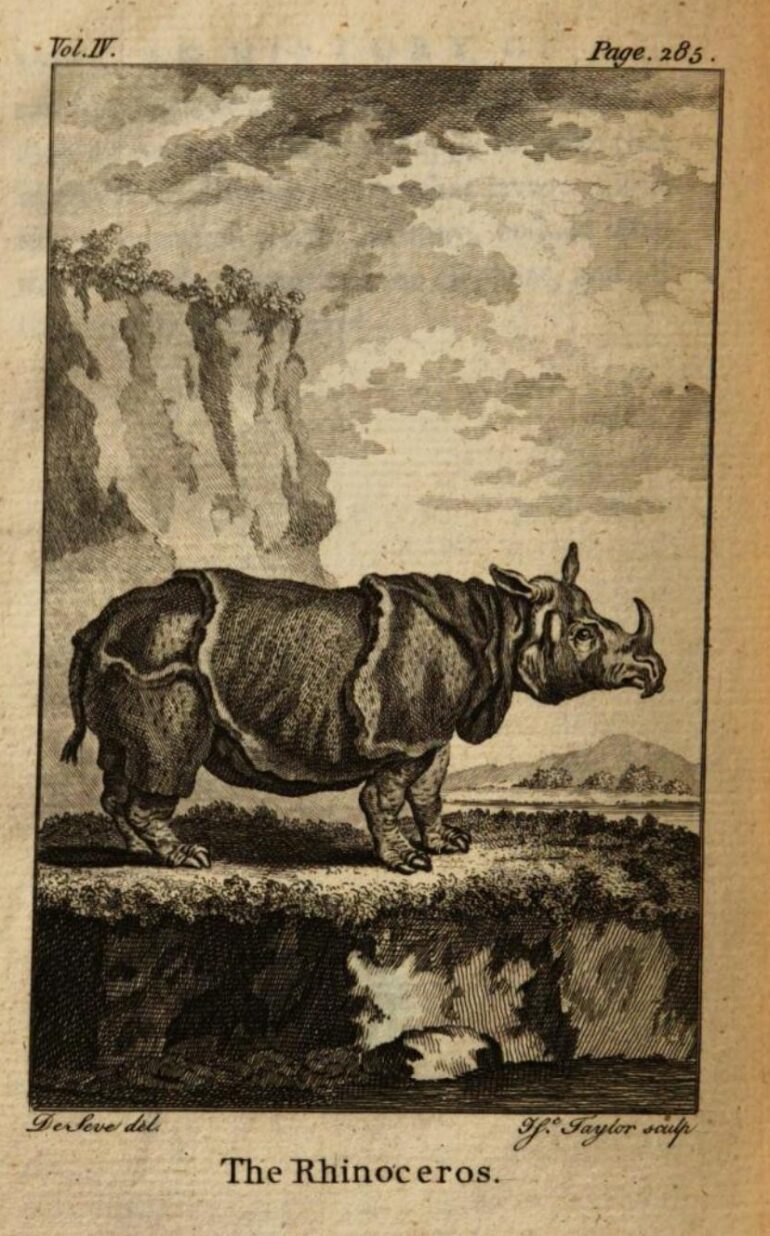 Goldsmith 1779 Rhinoceros