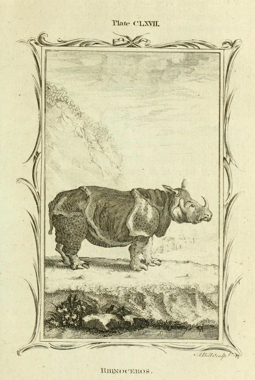 Smellie 1785 Buffon