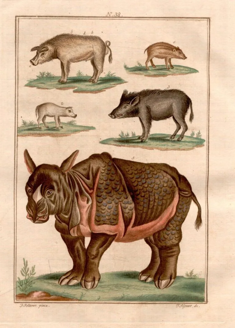1788 Baumeister Welt in Bildern 143 plate 37 aa