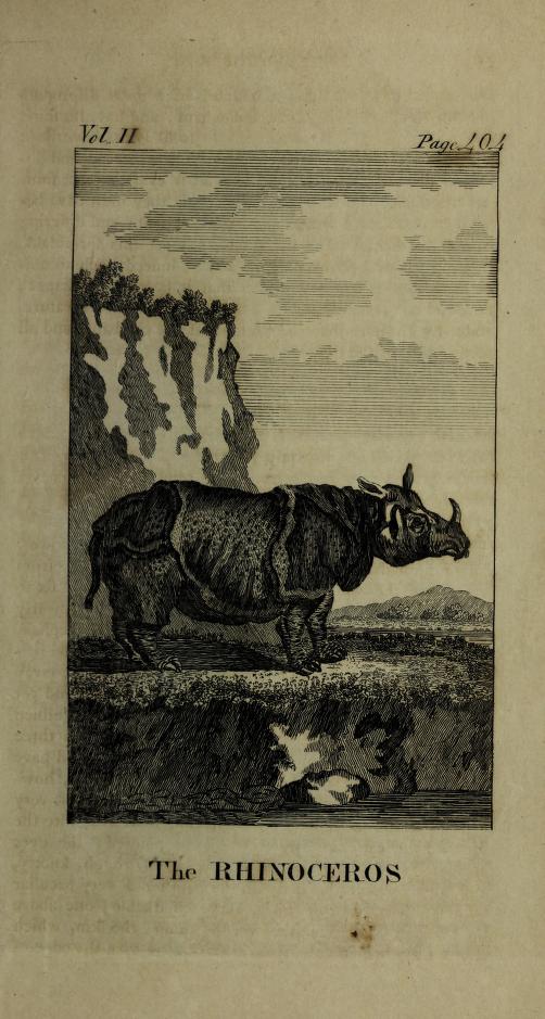 Goldsmith 1797 rhino