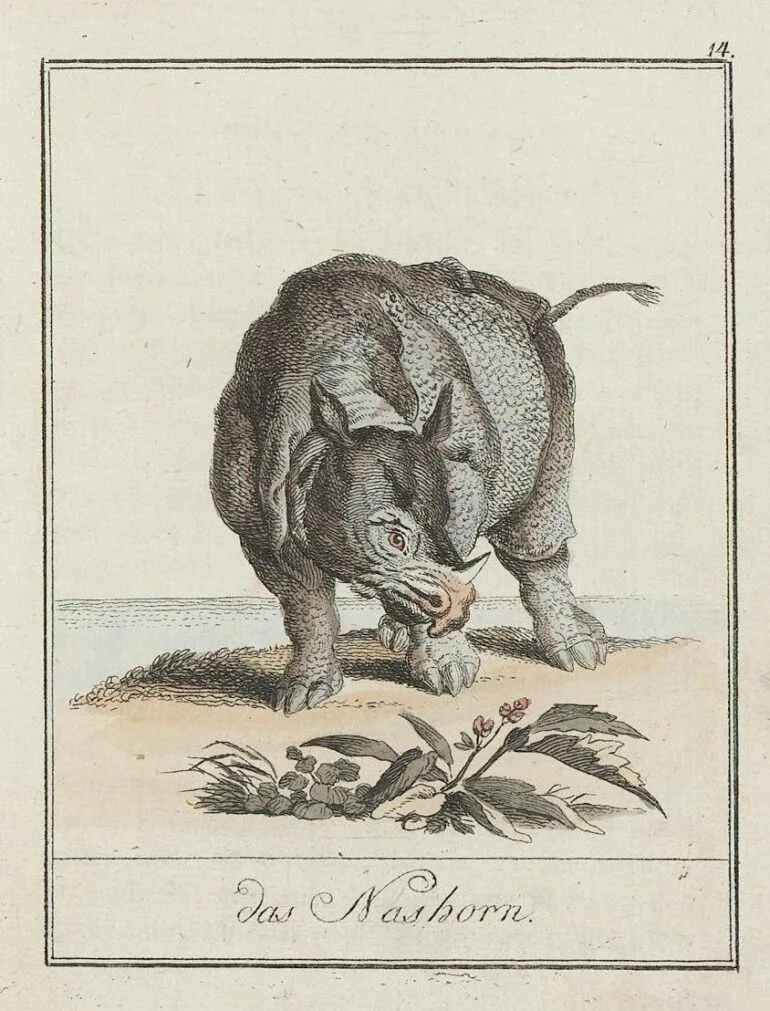 1804 Gallerie der merkwürdigsten Säugethiere 057 plate