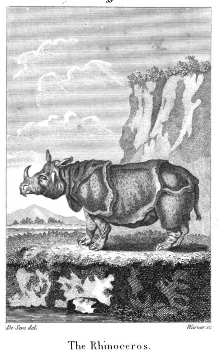 Goldsmith 1805