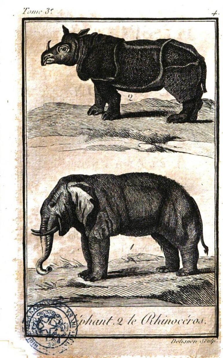 Buffon 1806 Jeunesse