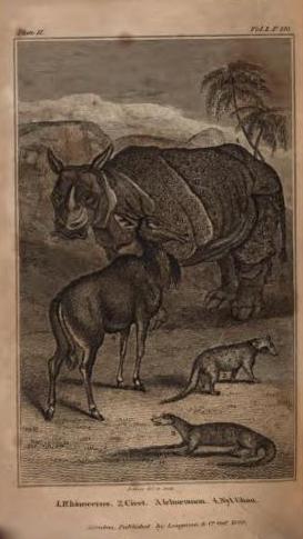 Bingley 1829 Biography 7th