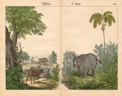 1839 Wagner Bilder