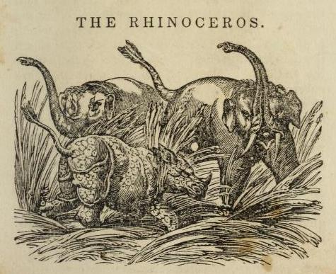 Babcock 1841 Little Folks