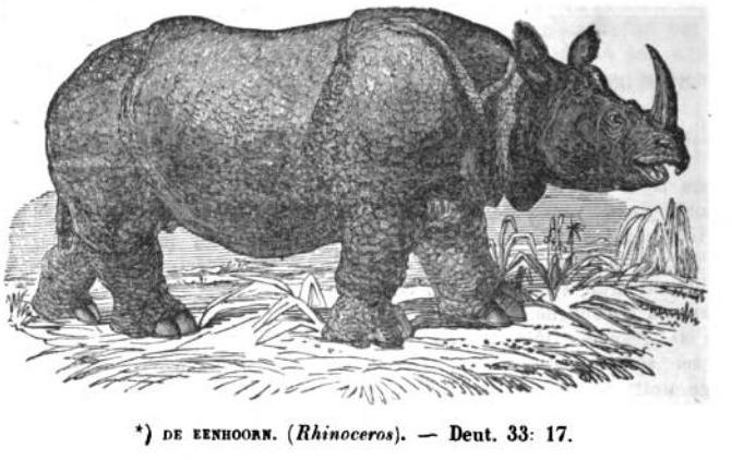 Broedelet 1845 Prent-Bijbel