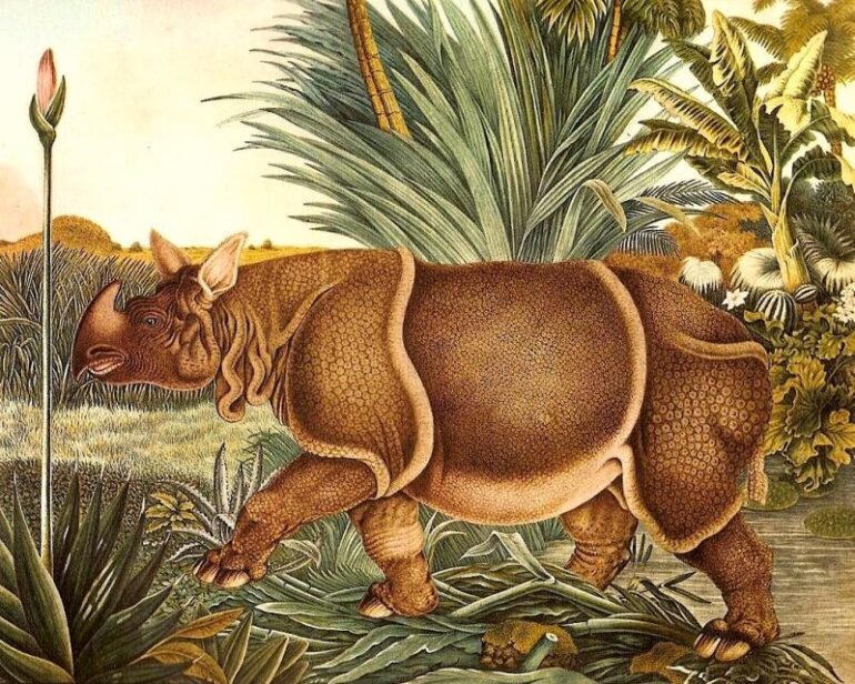 Zoetl 1872 One-horned