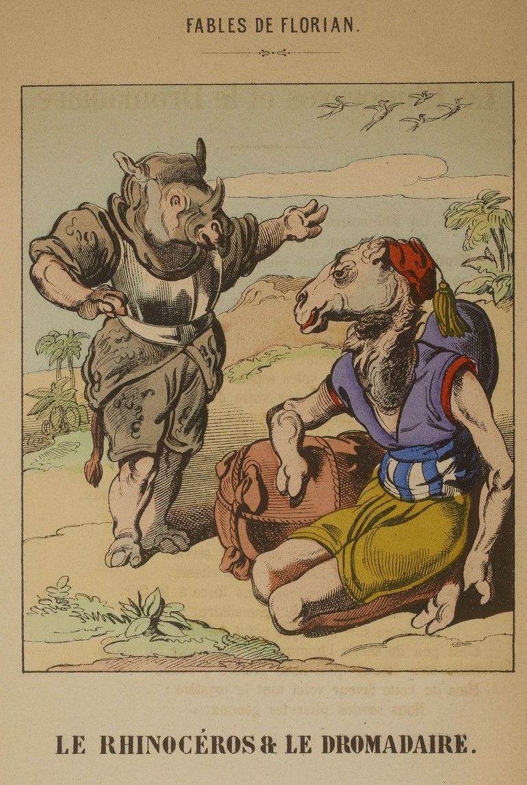 Florian 1878 Dromadaire