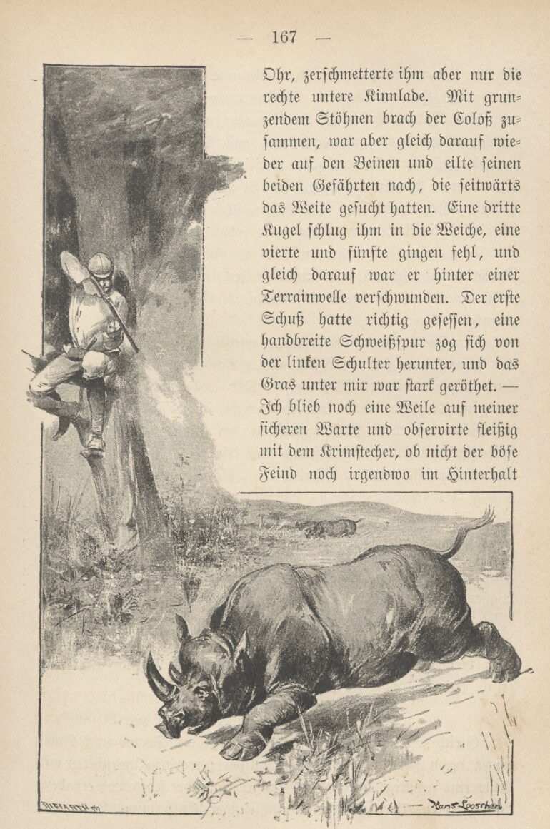 Tiedemann 1892 hunting