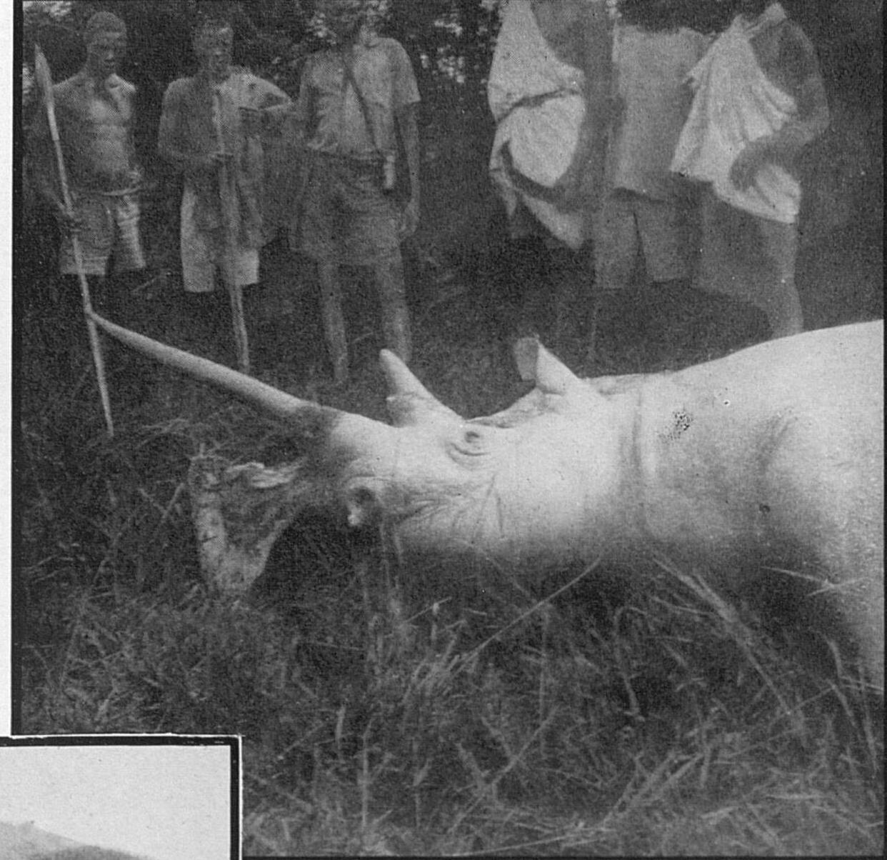 Karagwe 1927 Rougier