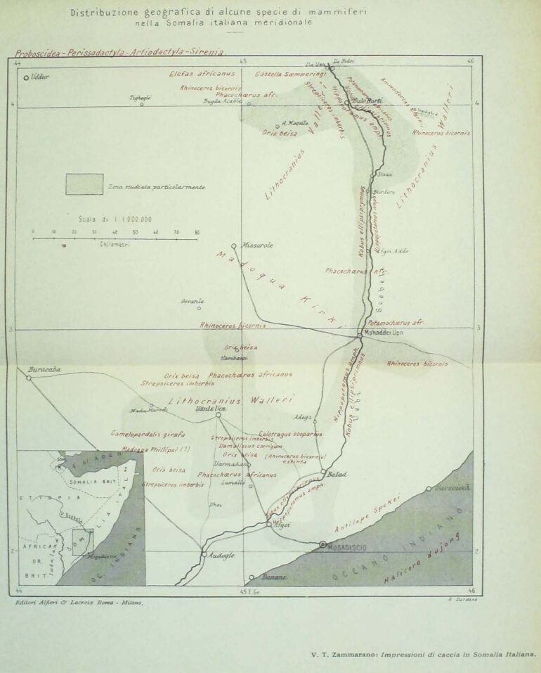 Zammarano 1920 distribution map