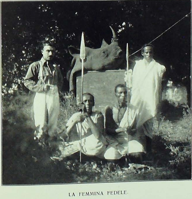 Zammarano 1920 rhino head