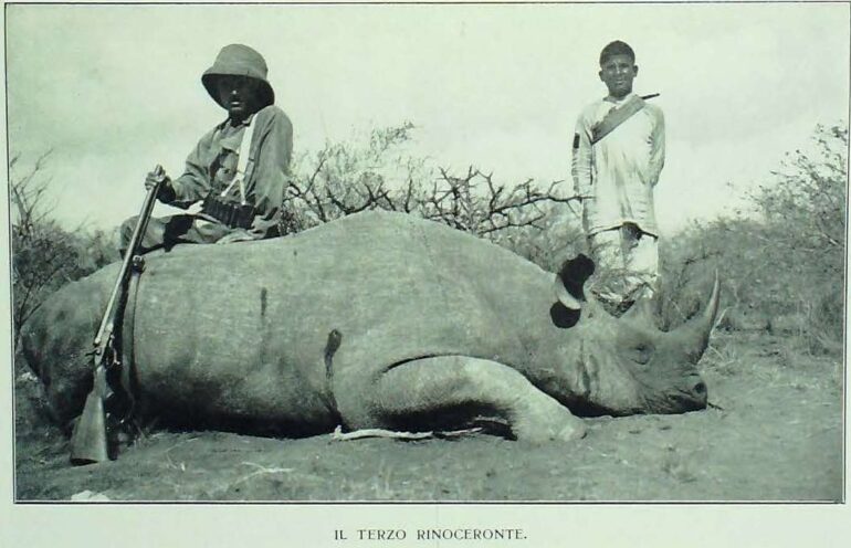 Zammarano 1920 third rhino