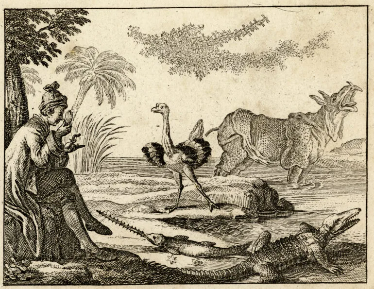 Gravures Rhinocéros collection Jim Monson N°180 CHODOVIECKI 1785 ref R 86