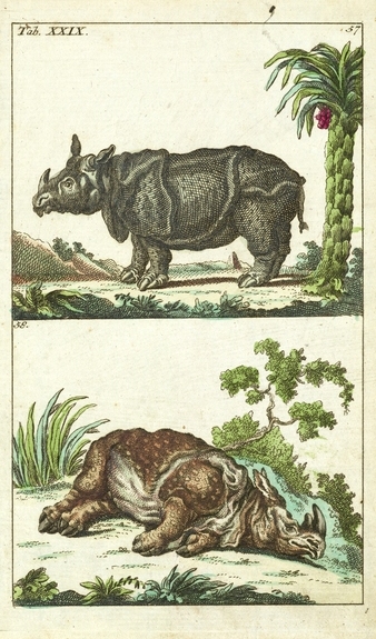 MONSON 410 Wilhelm 1792 aa