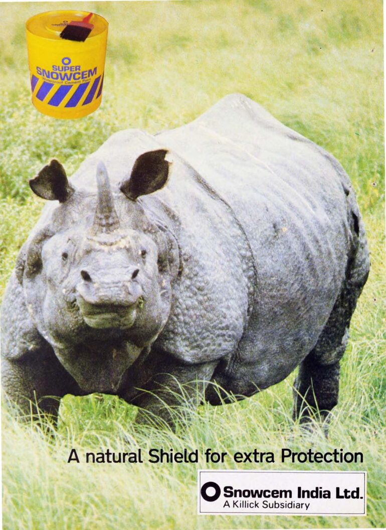 Snowcem India advert