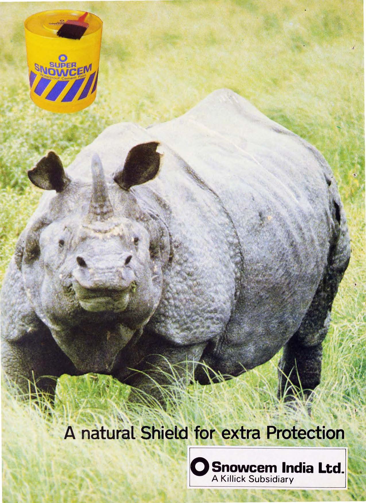 Snowcem India advert