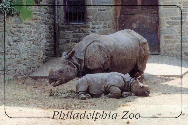 Philadelphia postcard