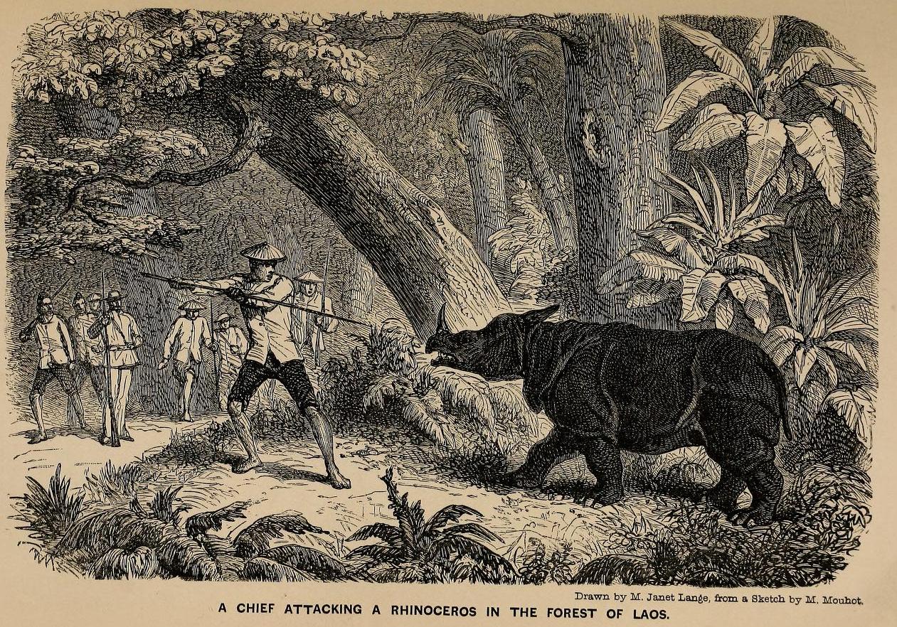 Mouhot 1864 Chief attack