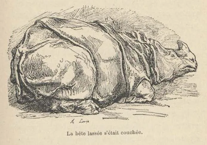 Ivory King 1871