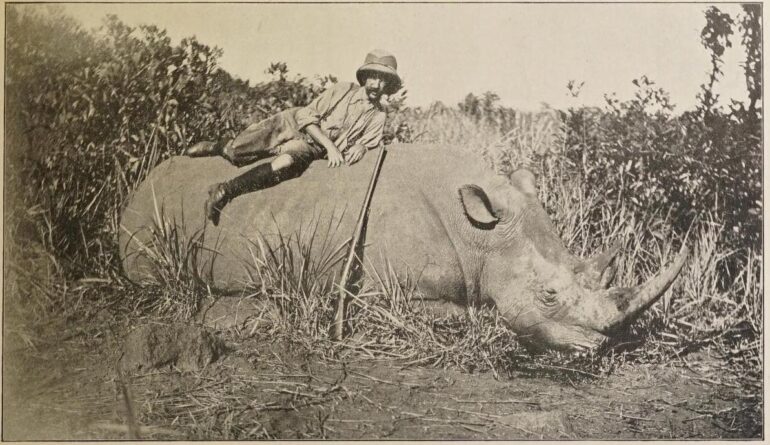 Lebrun Rhino in Uelé