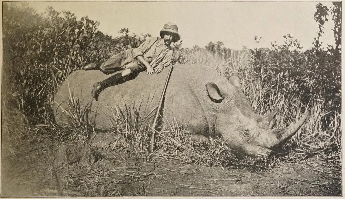 Lebrun Rhino in Uelé