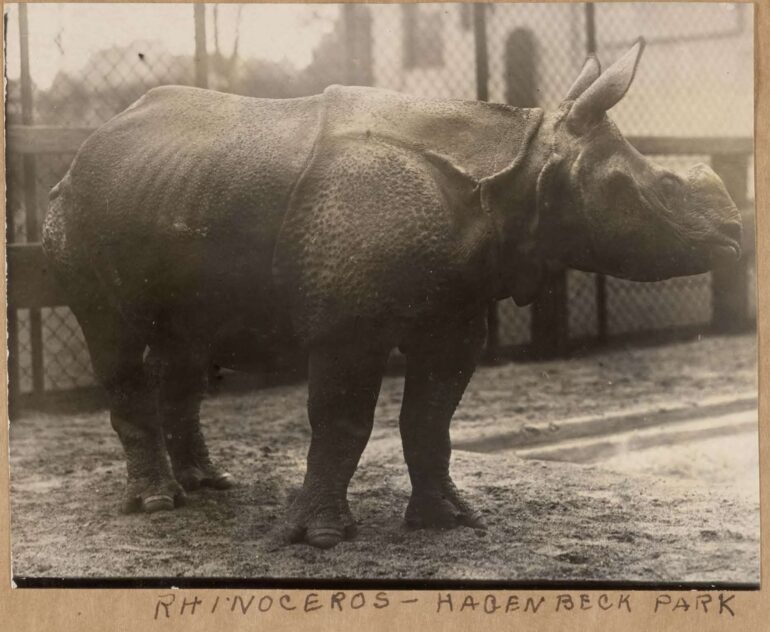 Hagenbeck 1935 Nepali