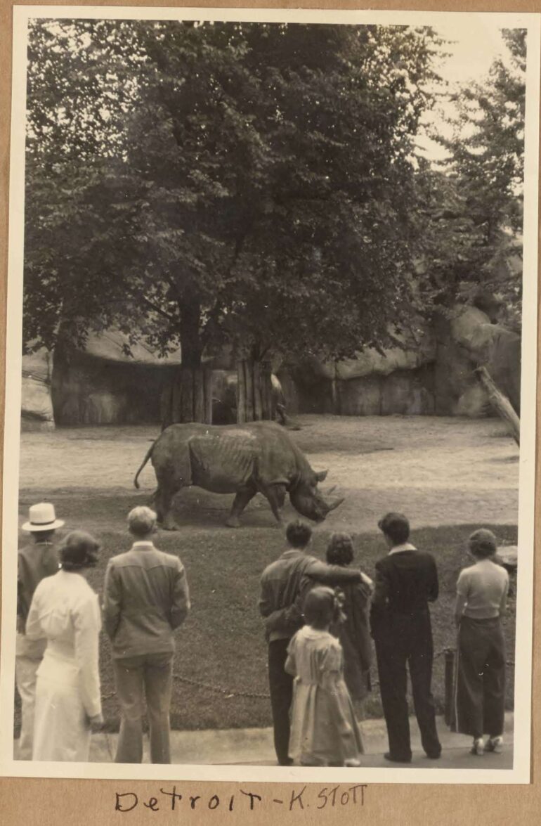 Detroit 1938 two black rhino