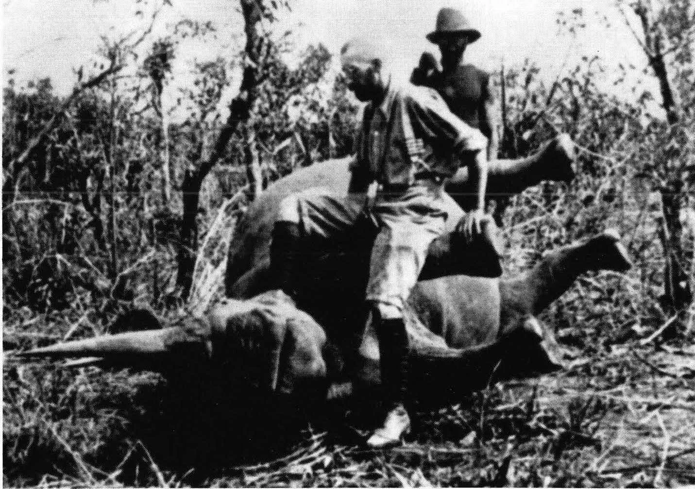 Lebrun 1912 Congo