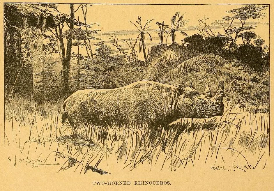 Brown 1892 Two-horned