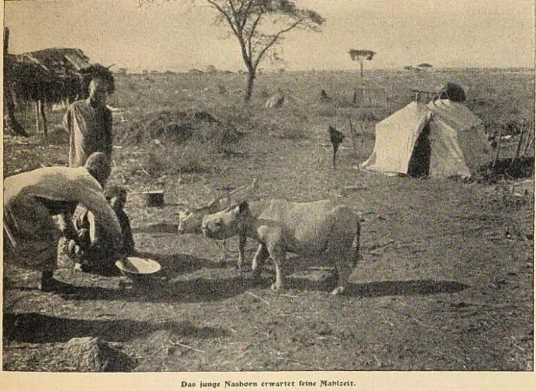 Kilimanjaro 1903 capture