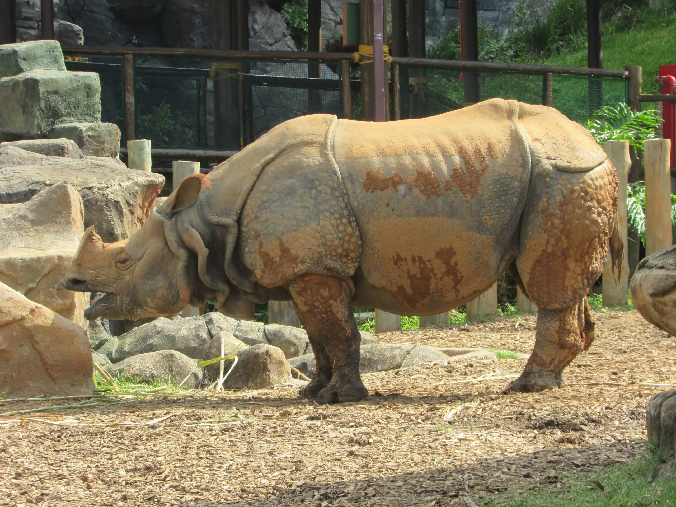 Animalia Park Brazil 2024