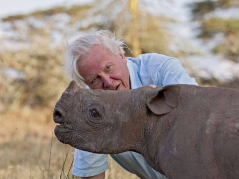 Attenborough at 100