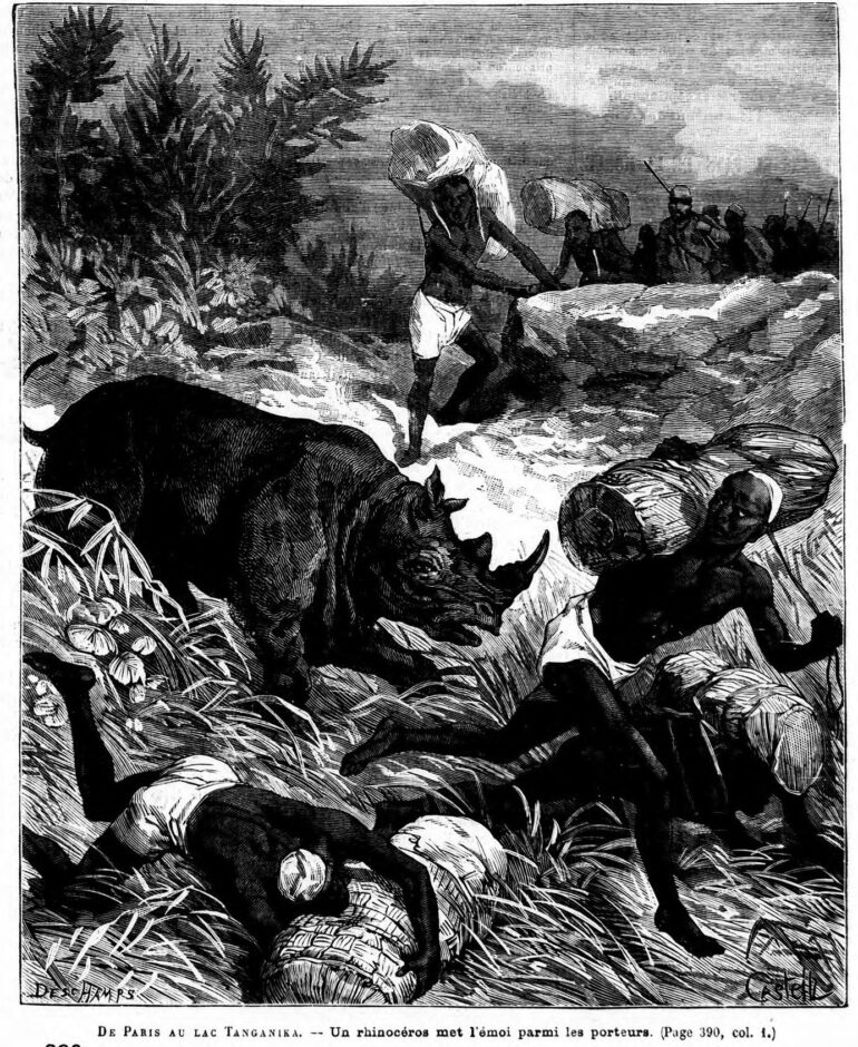 Rhinoceros attacking porters