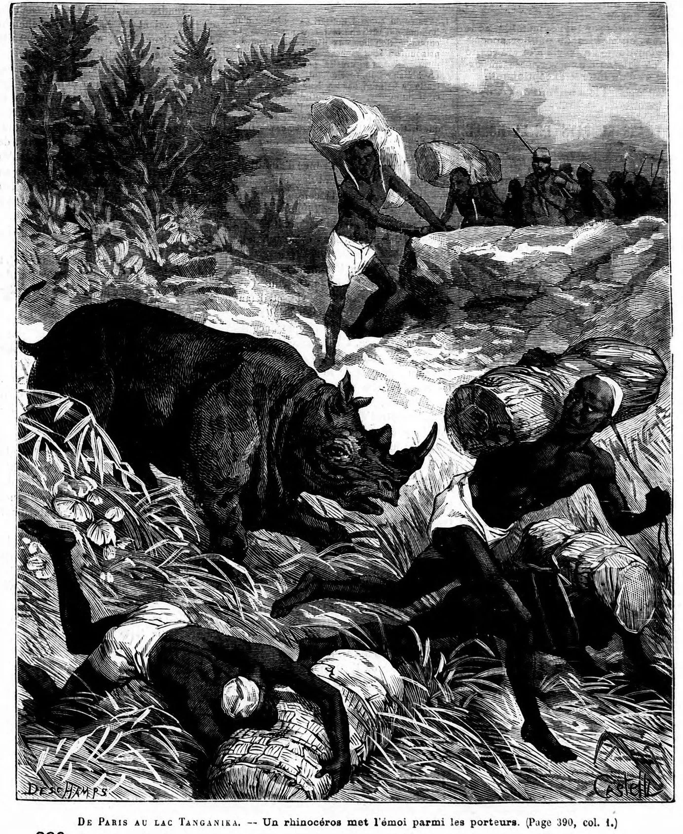 Rhinoceros attacking porters