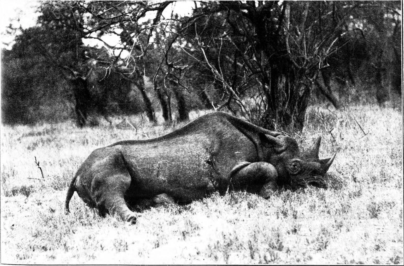 Hunting in Uganda