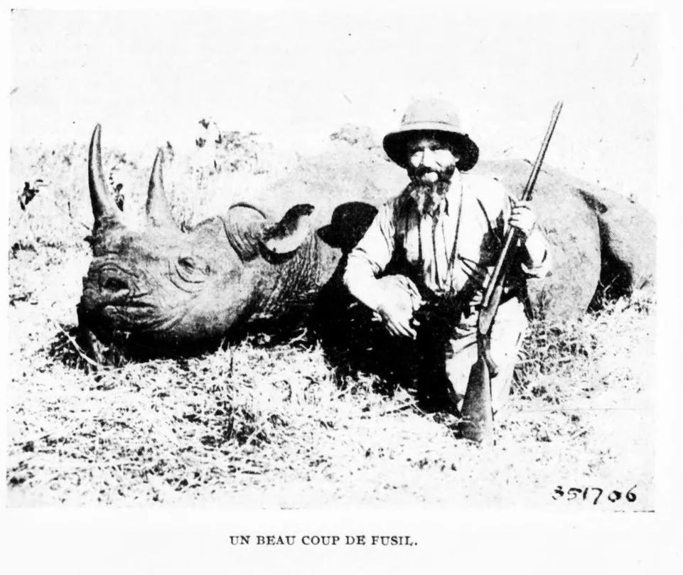 Nile rhino with hunter