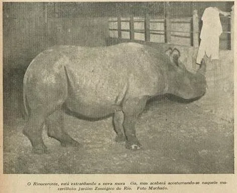 Rio de Janeiro 1949