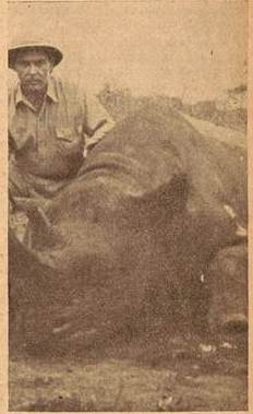 Lisboa 1953 Kenya