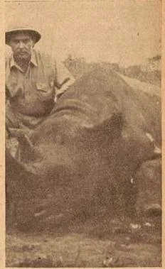 Lisboa 1953 Kenya