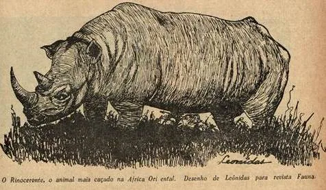 Leonidas 1957 Rinoceronte