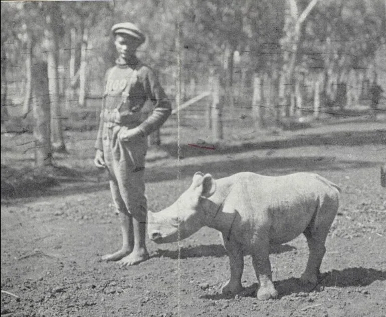 Pretoria 1949 Zuluana