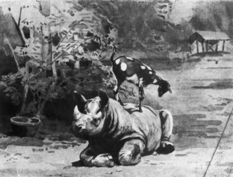 Giza 1911 Rhino and goat