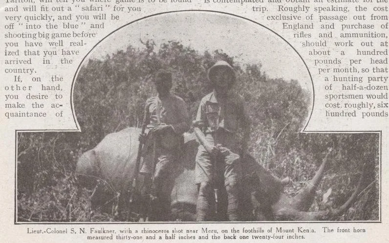 Rhino near Meru by Faulkner
