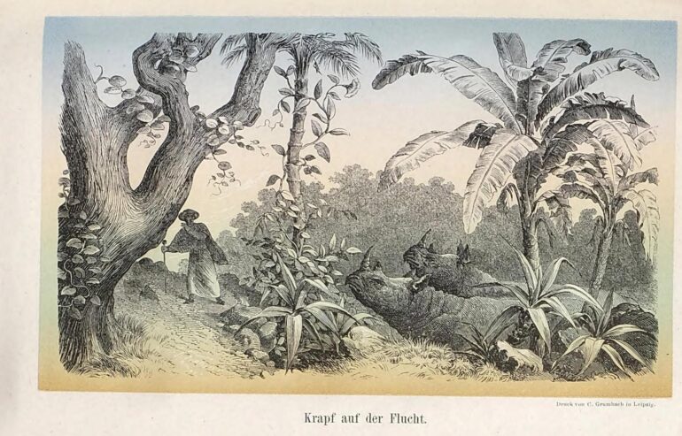 Krapf auf der Flucht