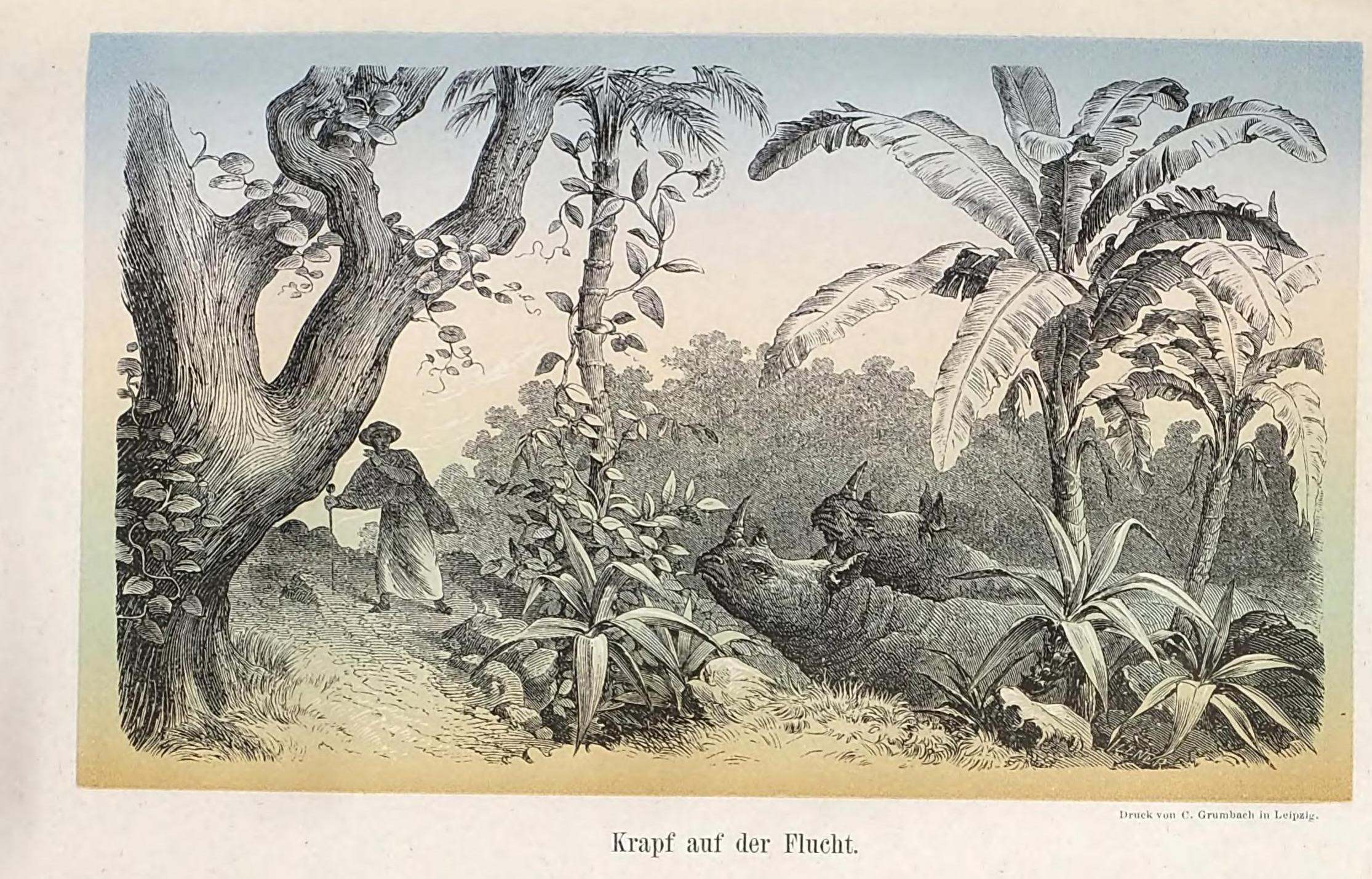 Krapf auf der Flucht