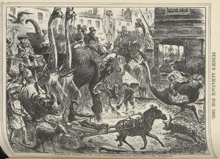 Punch Almanack 1865